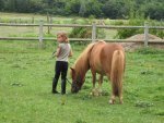 poney club gers